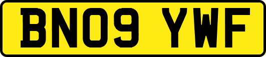 BN09YWF
