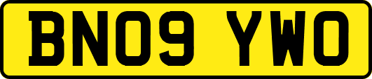 BN09YWO