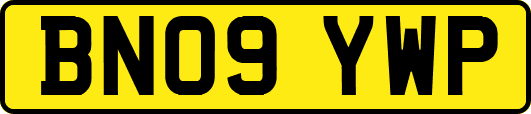 BN09YWP