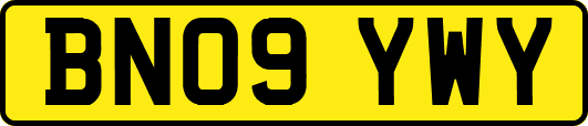BN09YWY