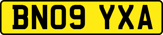 BN09YXA