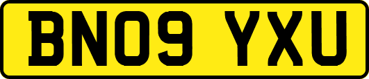 BN09YXU