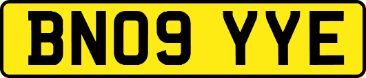 BN09YYE