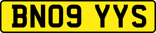 BN09YYS