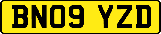 BN09YZD