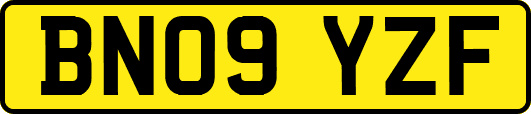 BN09YZF