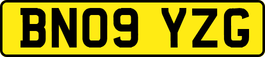 BN09YZG