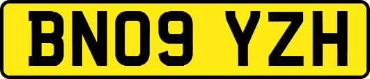 BN09YZH