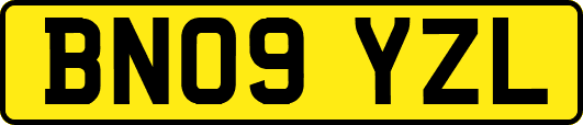 BN09YZL