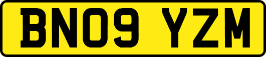 BN09YZM