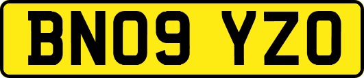 BN09YZO