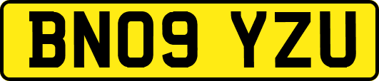 BN09YZU