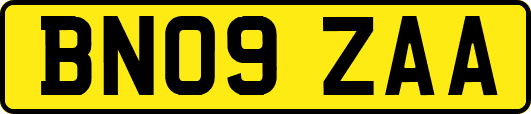 BN09ZAA