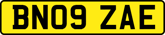 BN09ZAE