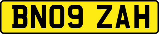BN09ZAH
