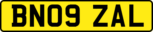 BN09ZAL