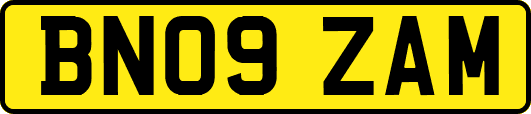 BN09ZAM