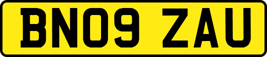 BN09ZAU