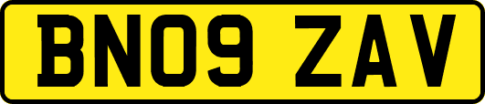 BN09ZAV