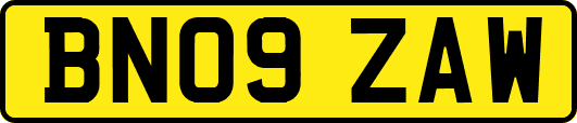 BN09ZAW