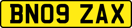 BN09ZAX