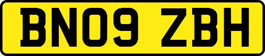 BN09ZBH