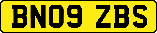 BN09ZBS