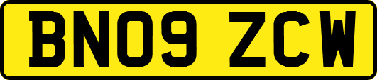 BN09ZCW