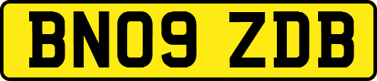 BN09ZDB