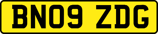 BN09ZDG