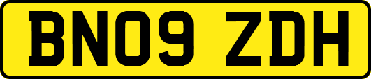 BN09ZDH