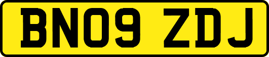 BN09ZDJ