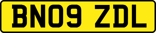 BN09ZDL