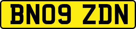 BN09ZDN