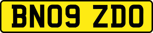 BN09ZDO