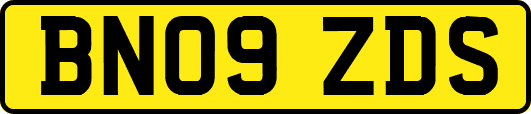 BN09ZDS