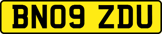 BN09ZDU