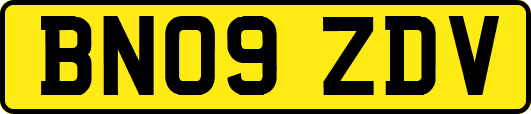 BN09ZDV