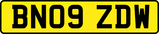 BN09ZDW