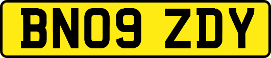 BN09ZDY