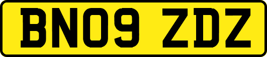 BN09ZDZ