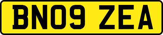 BN09ZEA