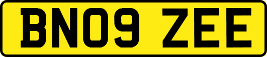 BN09ZEE
