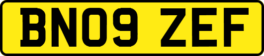 BN09ZEF