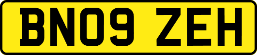 BN09ZEH