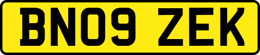 BN09ZEK