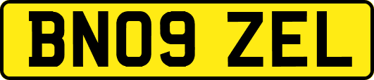 BN09ZEL