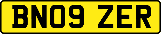 BN09ZER