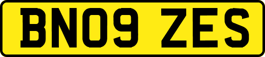 BN09ZES