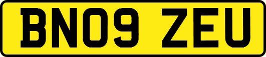 BN09ZEU